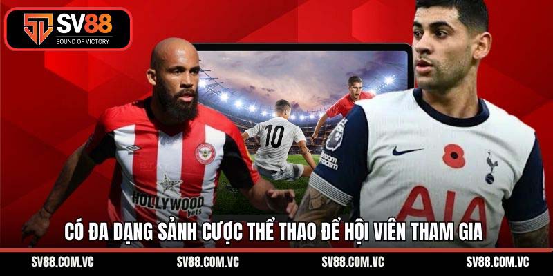 Có đa dạng sảnh cược thể thao để hội viên tham gia
