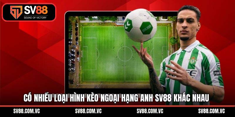 Có nhiều loại hình kèo ngoại hạng Anh SV88 khác nhau